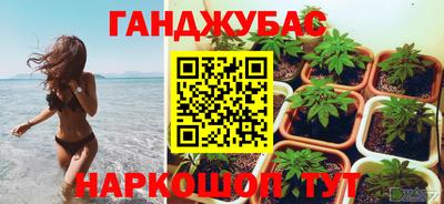 ешки Бердск