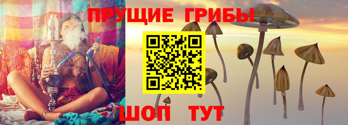 наркотики  Вход с VPN  Артём  Псилоцибиновые грибы Psilocybine cubensis 